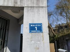 -紫金山山顶公园