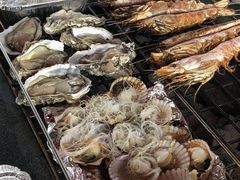 -春花秋色城市公园