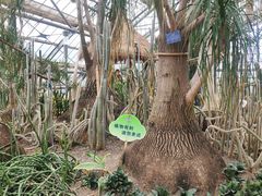 -南山植物园