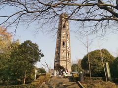 -上海佘山国家森林公园天马山园