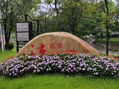 -荔湾湖公园
