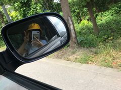 -马陆小张葡萄园农家乐