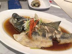 -台北楚楚园馅饼粥(虹桥南丰城店)