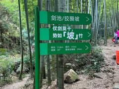 -莫干山风景区