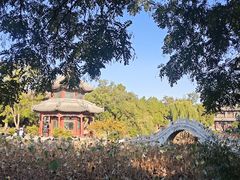 -莲池书院博物馆