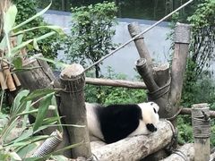-黔灵山公园