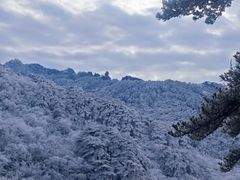 -黄山风景区