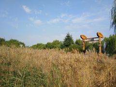 -济南国际园博园