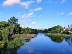 -新江湾城公园
