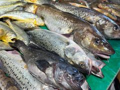 -木柴豆腐·活海鲜·鲁菜(岚山路店)