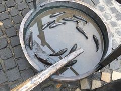 -鲜鱼口老字号美食街