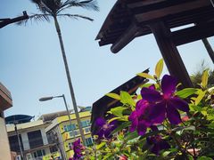 -南丫岛