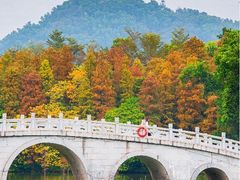 -金山植物公园