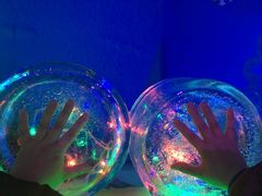 -芜湖新华联大白鲸海洋公园