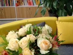 -新青联外语培训学校