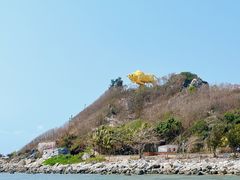 -三亚西岛海洋文化旅游区