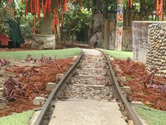 -呀路古热带植物园