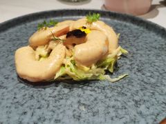 -哈布斯扒房(华发商都店)