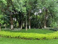 -玉树公园