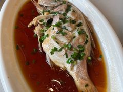 -华盛丰温州大排档(东三环南路店)