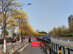 -洲头咀公园