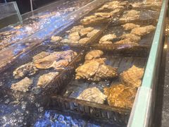 -粤珍轩.创始店.始于2001(含光门店)