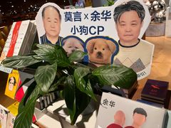 -新华文创·光的空间