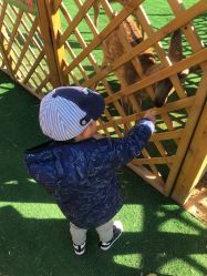 -萌宠亲子动物乐园(槐房万达店)