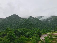 -关山草原
