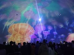 -烟台海昌鲸鲨海洋公园