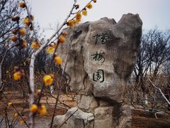 -千佛山风景名胜区