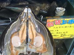 -蚝专家(北滘店)