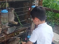 -樂桃源奉贤黄桃种植采摘基地