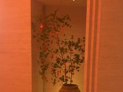-舒小悦·舒养SPA·古法推拿(光环中心店)