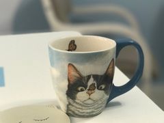 -喵的天空名猫咖啡馆·撸猫·猫舍·用品