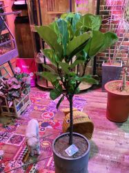 -青木造型HAIR·あおき髪を刈る潮人店