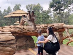 -昆明动物园
