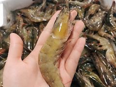 特大活虾-渔人湾码头海鲜市场负二楼
