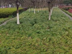 -白塘生态植物园