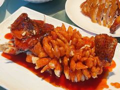 -洋洋中餐馆·SINCE 1997(信投店)