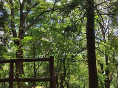 -罗田薄刀峰风景区