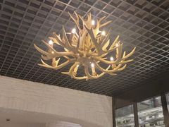 -鹿园 MOOSE(长宁店)