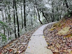 -西湖风景区十里琅珰-五云山