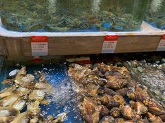 水产区-阿杜打边炉(五江天街店)