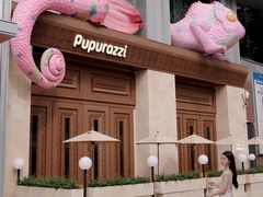 -帕帕拉兹宠物(亚洲旗舰店)