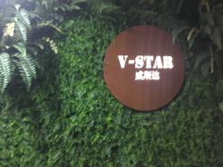 -V-STAR威斯达•高级私人定制