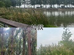 -东湖落雁景区