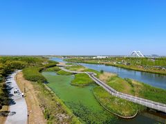 -春花秋色城市公园