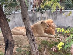 -石家庄市动物园