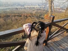 -南京市江宁方山